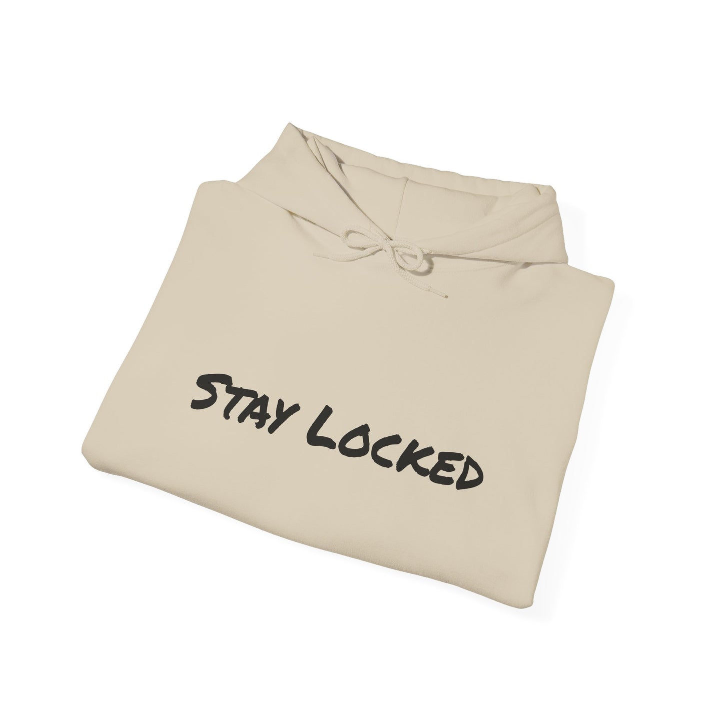 Stay Locked Disc Golf Hoodie — Seek Chains Logo Pullover
