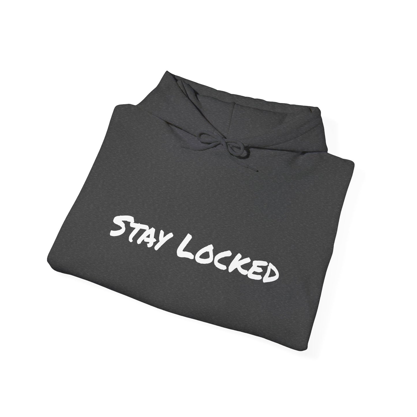 Stay Locked Disc Golf Hoodie — Seek Chains Logo Pullover