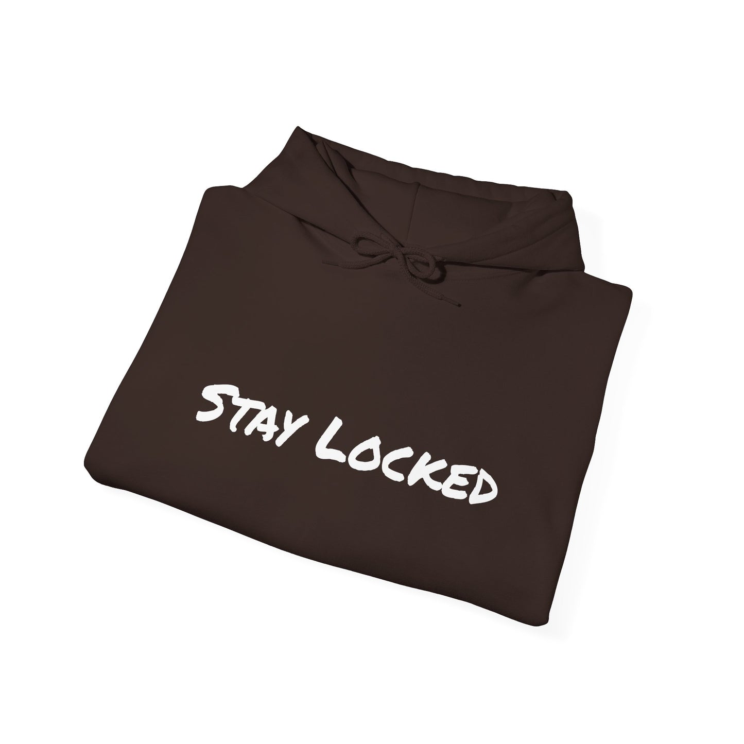 Stay Locked Disc Golf Hoodie — Seek Chains Logo Pullover