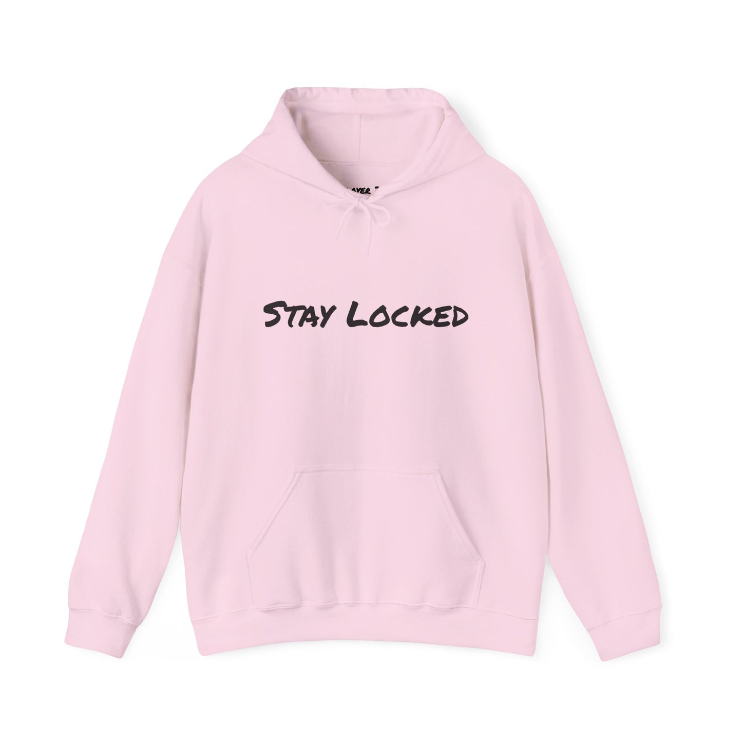 Stay Locked Disc Golf Hoodie — Seek Chains Logo Pullover