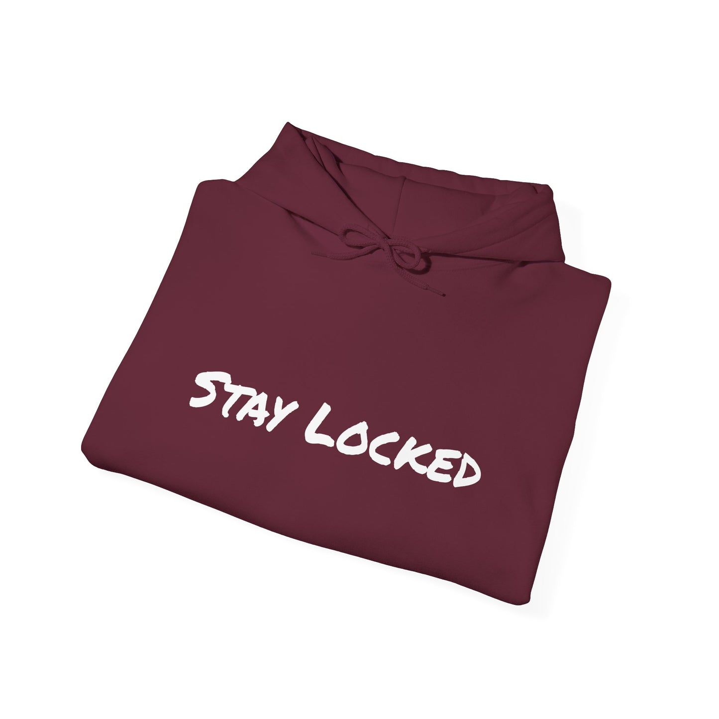 Stay Locked Disc Golf Hoodie — Seek Chains Logo Pullover