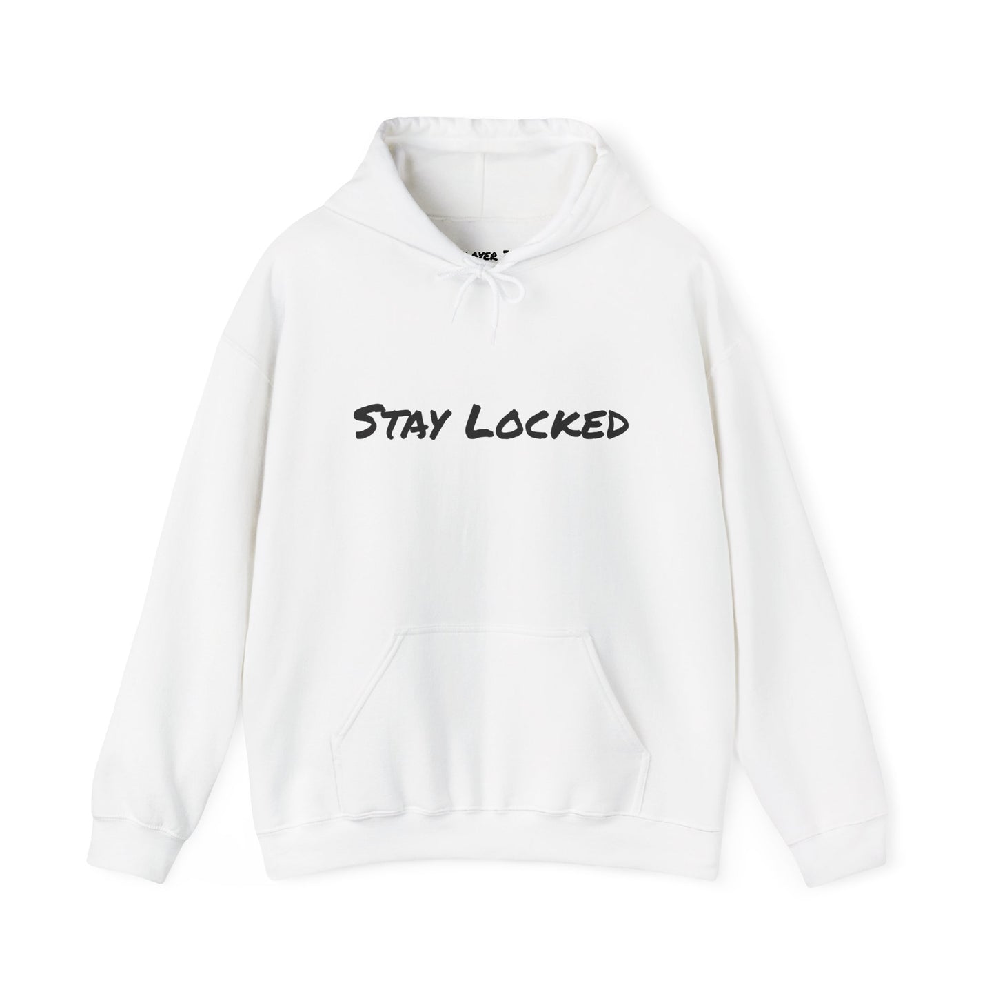 Stay Locked Disc Golf Hoodie — Seek Chains Logo Pullover