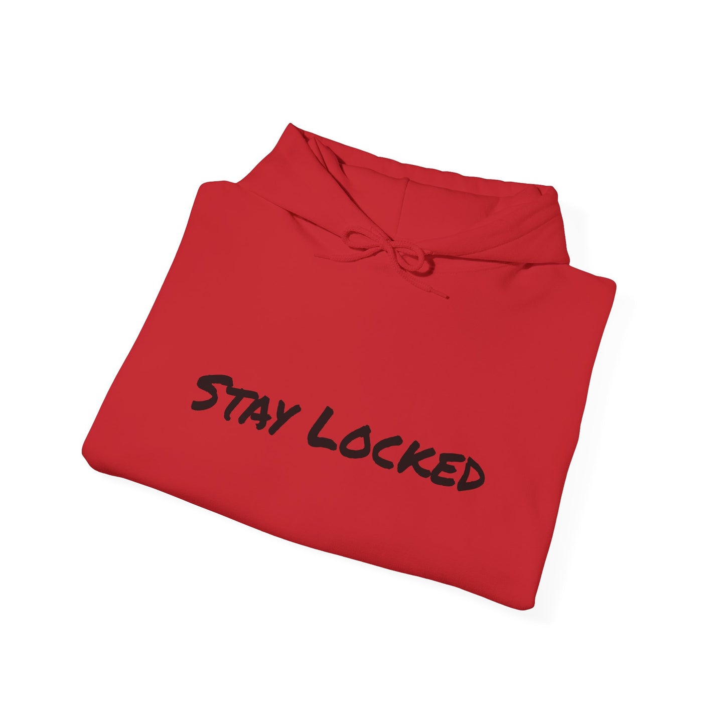 Stay Locked Disc Golf Hoodie — Seek Chains Logo Pullover