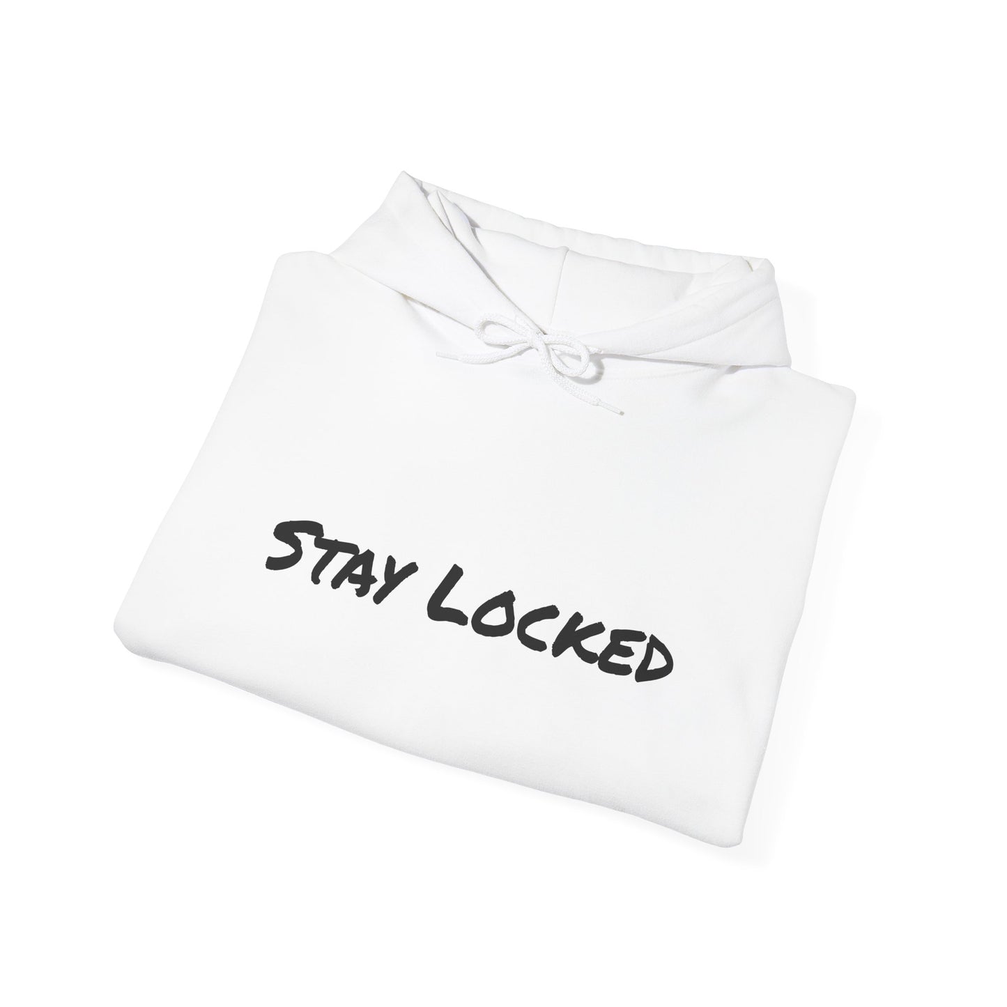 Stay Locked Disc Golf Hoodie — Seek Chains Logo Pullover