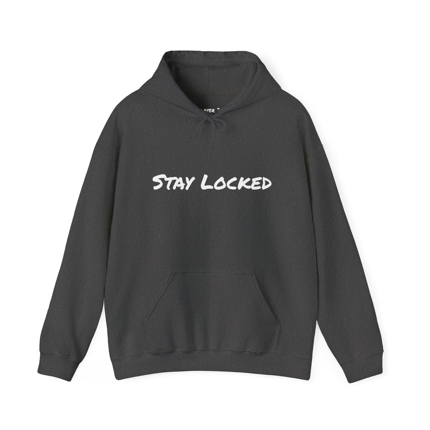 Stay Locked Disc Golf Hoodie — Seek Chains Logo Pullover