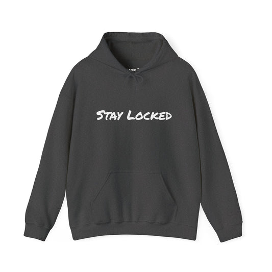 Stay Locked Disc Golf Hoodie — Seek Chains Logo Pullover